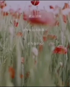 片头我唱的歌，送你们。